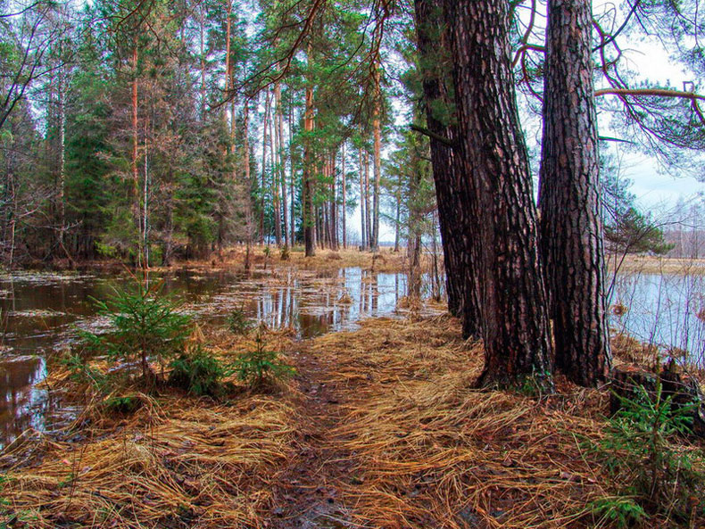 photo "***" tags: landscape, spring