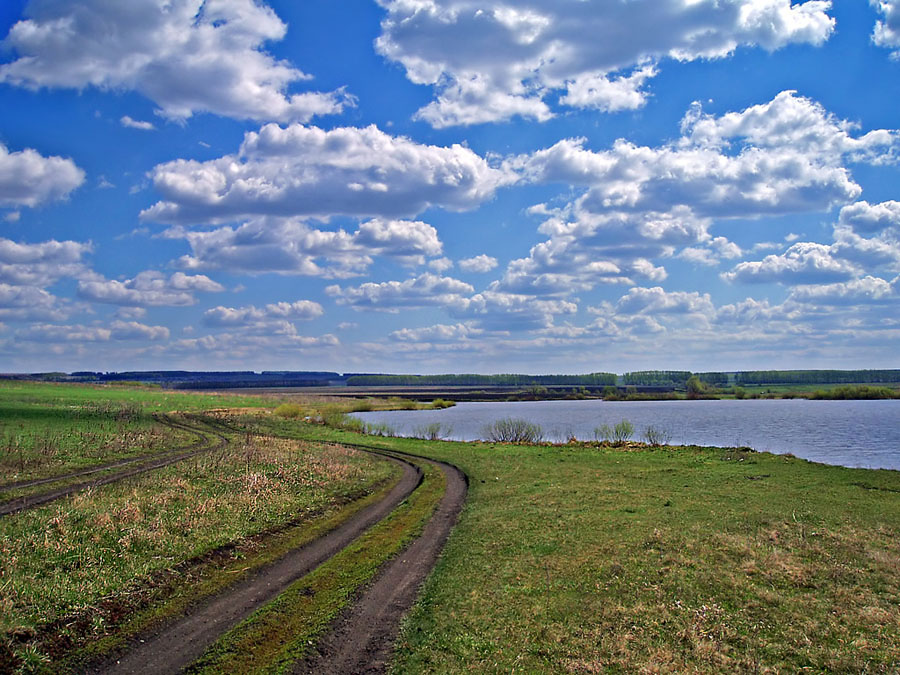 photo "Took me into the distance light ..." tags: landscape, spring