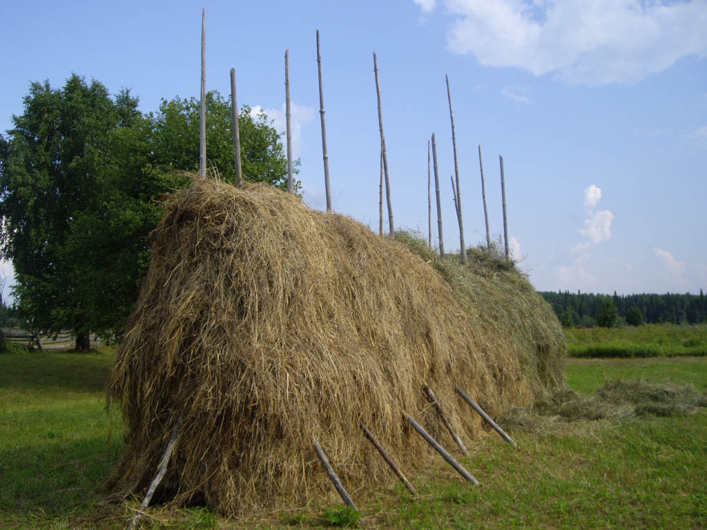 photo "***" tags: landscape, summer