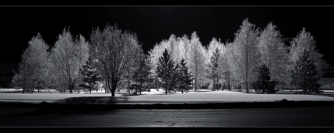photo "***" tags: landscape, forest, night