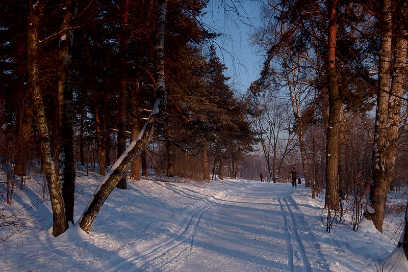 фото "В зимнем парке." метки: пейзаж, зима