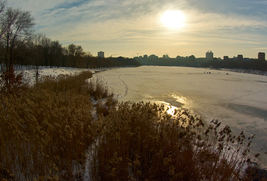 фото "Холодное золото января" метки: пейзаж, зима