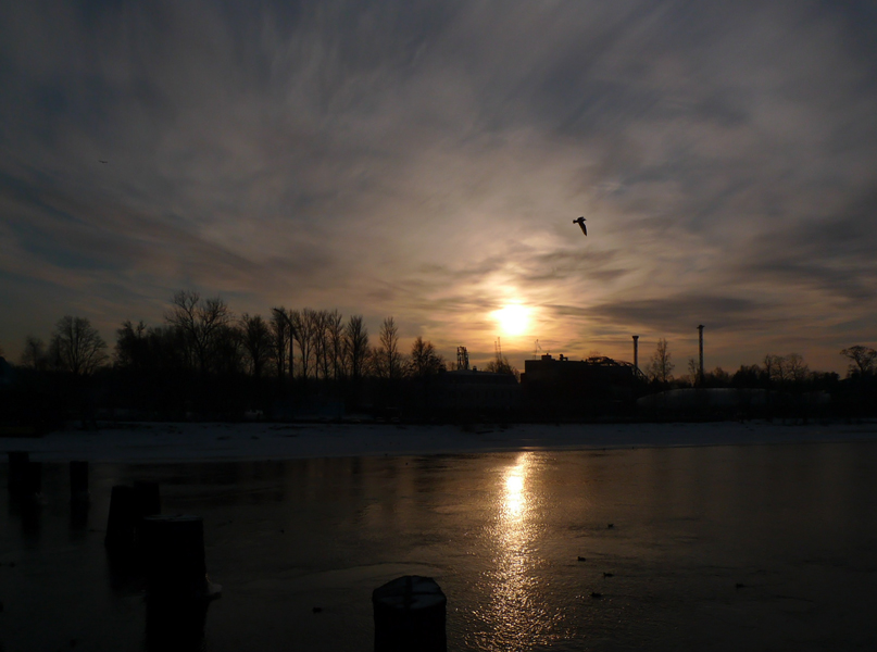 photo "A Black Bird Cry" tags: landscape, sunset, winter