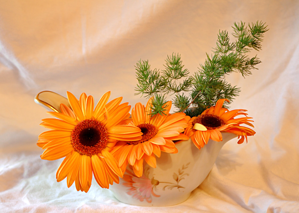 photo "***" tags: nature, still life, flowers