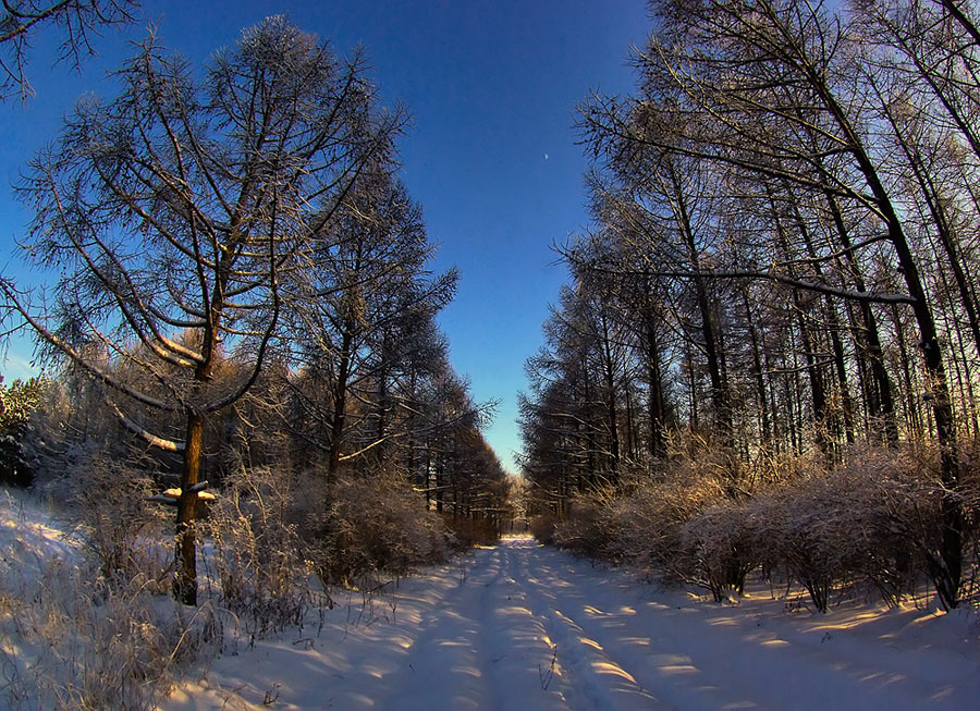 photo "***" tags: landscape, winter