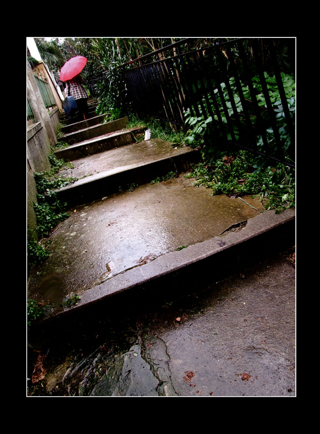 photo "From A Rainy Prince Island Day...01" tags: misc., 