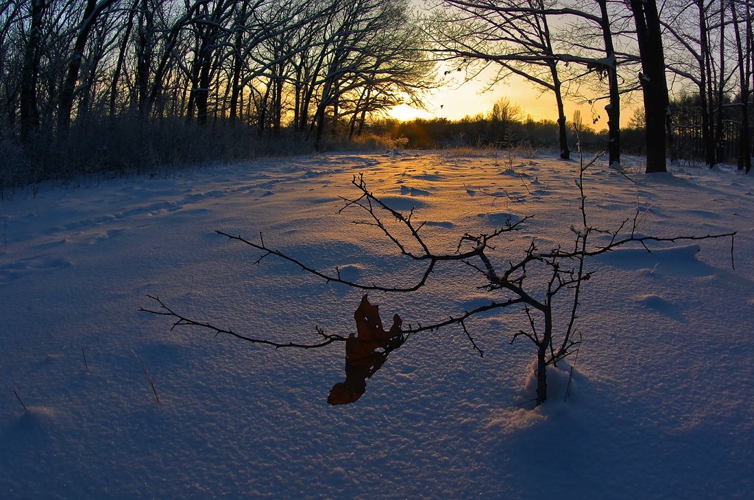 photo "***" tags: landscape, sunset, winter