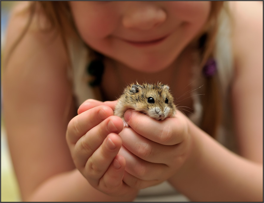 фото "маленькие радости" метки: разное, 