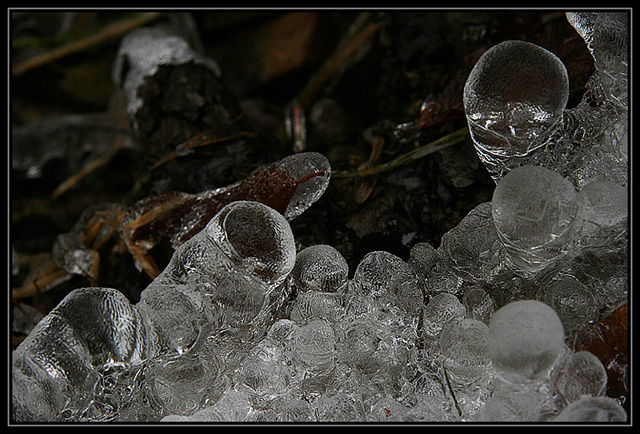 photo "***" tags: macro and close-up, fragment, 