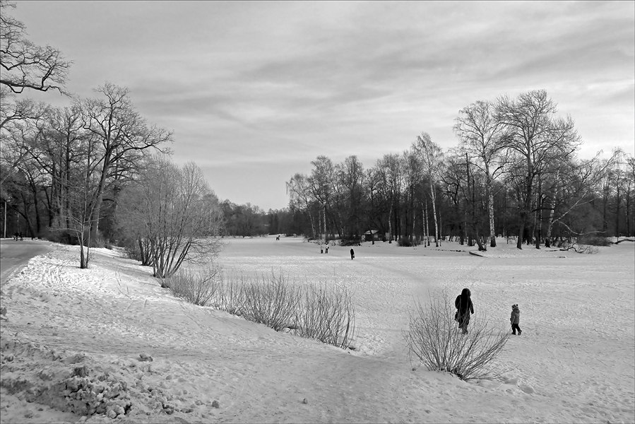 photo "Winter Grisaille" tags: black&white, landscape, winter