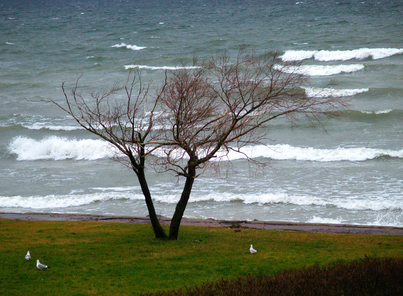 photo "***" tags: landscape, water