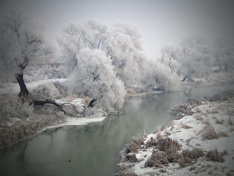 фото "***" метки: пейзаж, вода, зима