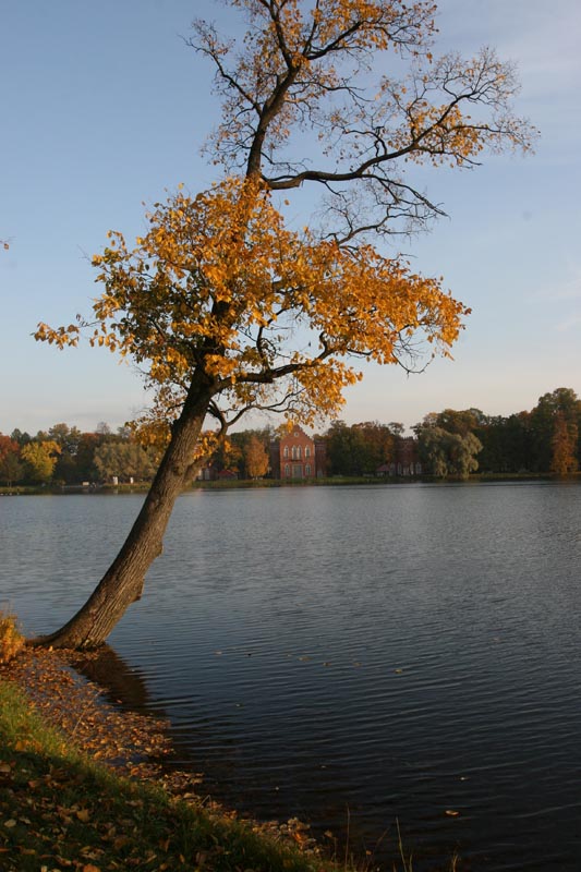 photo "***" tags: landscape, autumn