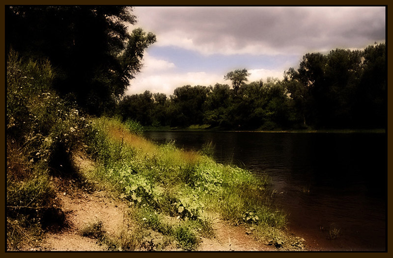 photo "***" tags: landscape, forest, summer