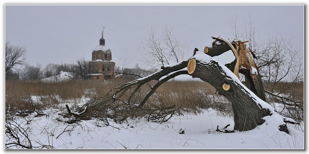 фото "на изломе..." метки: пейзаж, зима