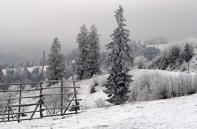 photo "***" tags: landscape, winter