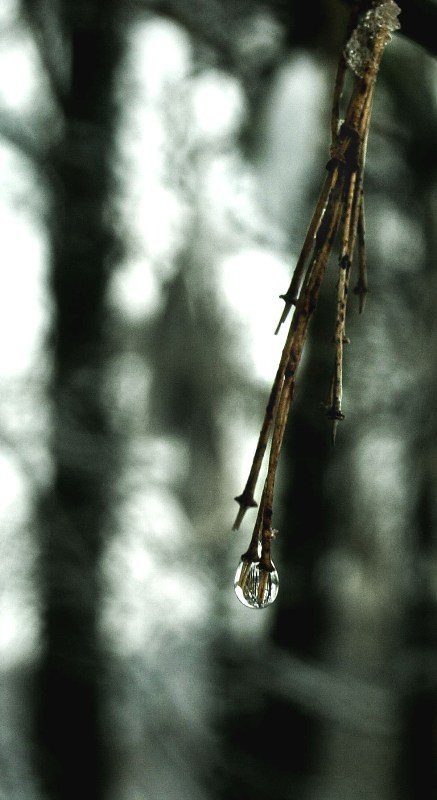 photo "***" tags: misc., 