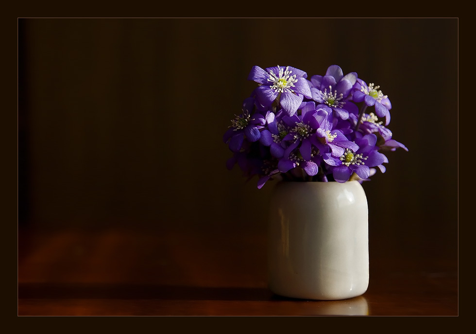 photo "Happy Valentine's day!!!" tags: still life, nature, flowers