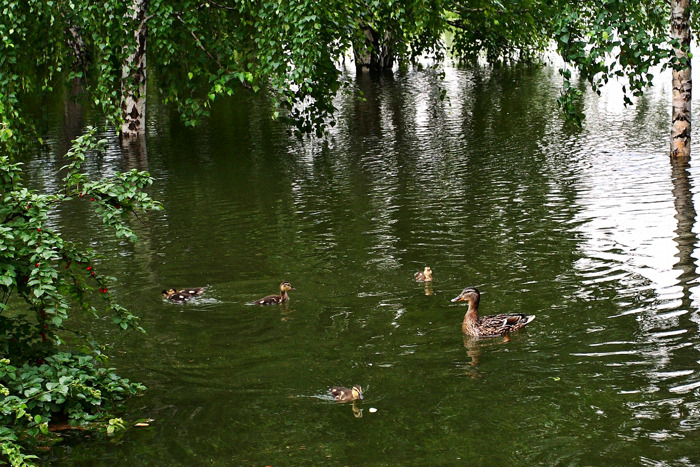 photo "***" tags: landscape, water