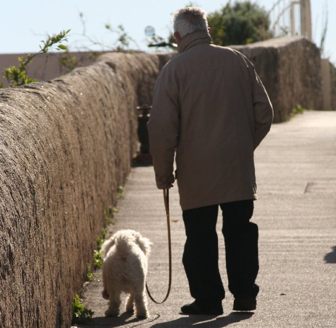 фото "two old friends" метки: репортаж, 