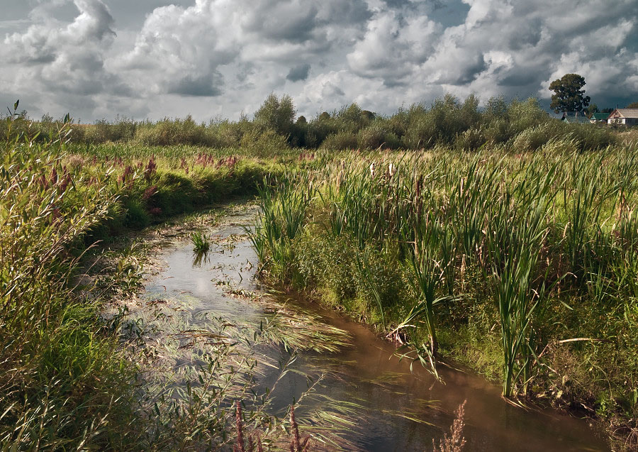 photo "***" tags: landscape, summer