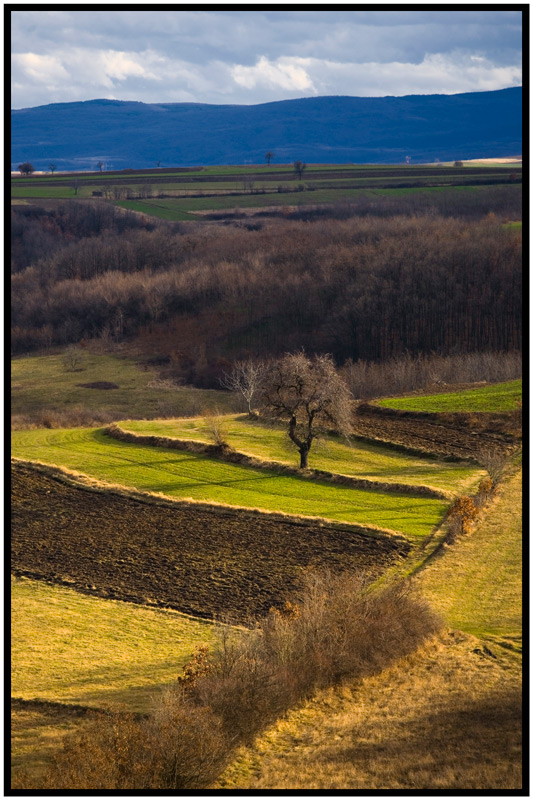 фото "Landscape next to Gornji Adrovac" метки: пейзаж, 
