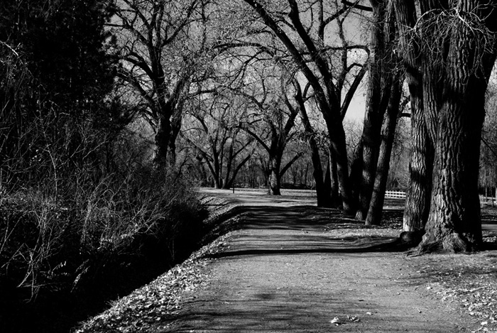 photo "A Dark Path" tags: landscape, black&white, autumn