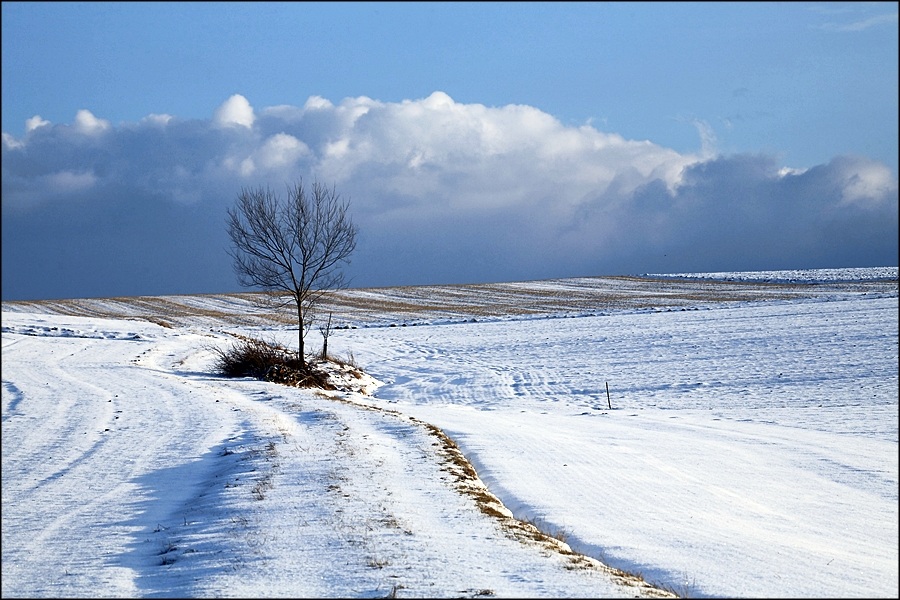 photo "***" tags: landscape, winter