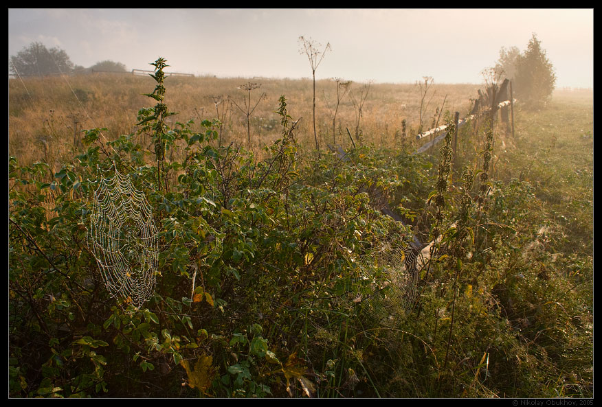 photo "On meadow / 0154_0046" tags: landscape, travel, fog, summer, sunrise