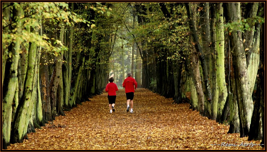 фото "jogging" метки: пейзаж, природа, осень, цветы