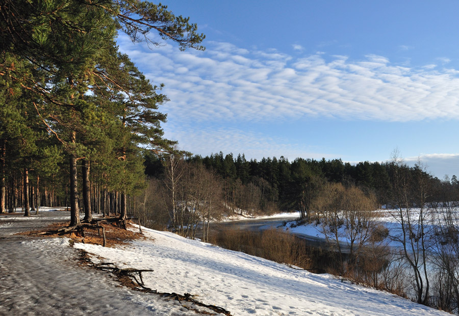 фото "Зима на Луге" метки: пейзаж, зима, лес