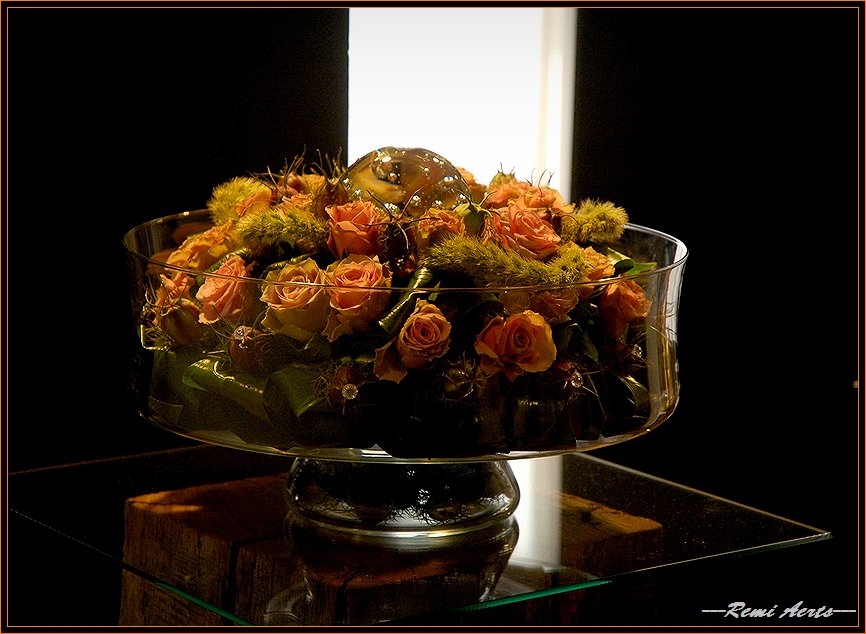 фото "flowers from light" метки: природа, натюрморт, цветы