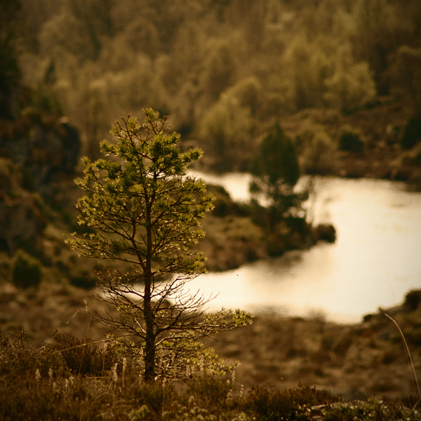 photo "Distance" tags: landscape, autumn, forest