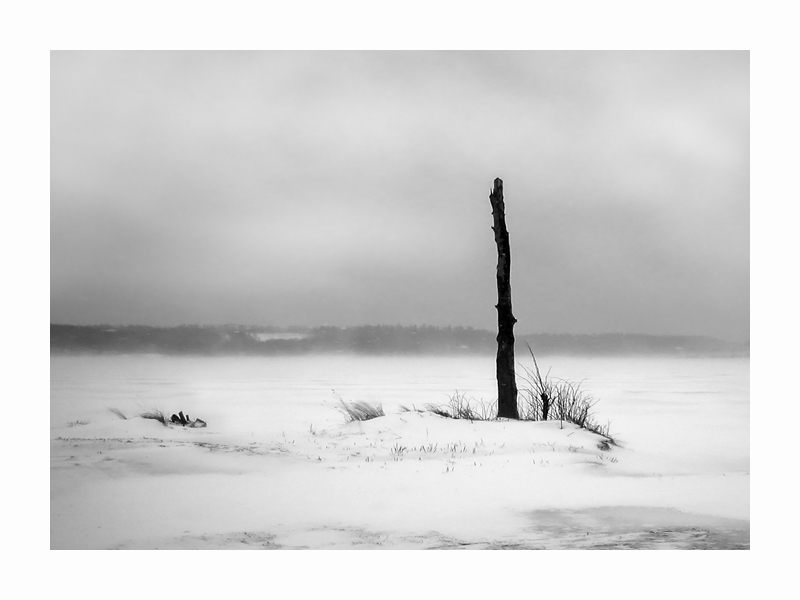 photo "Snowstorm" tags: black&white, 