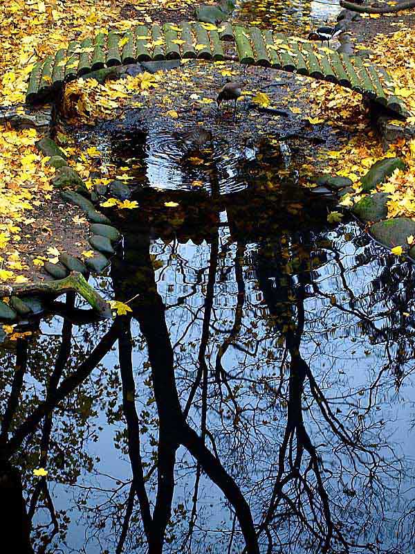 photo "Bridge" tags: landscape, autumn, water
