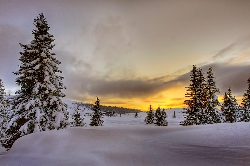 фото "Winter gold" метки: пейзаж, закат