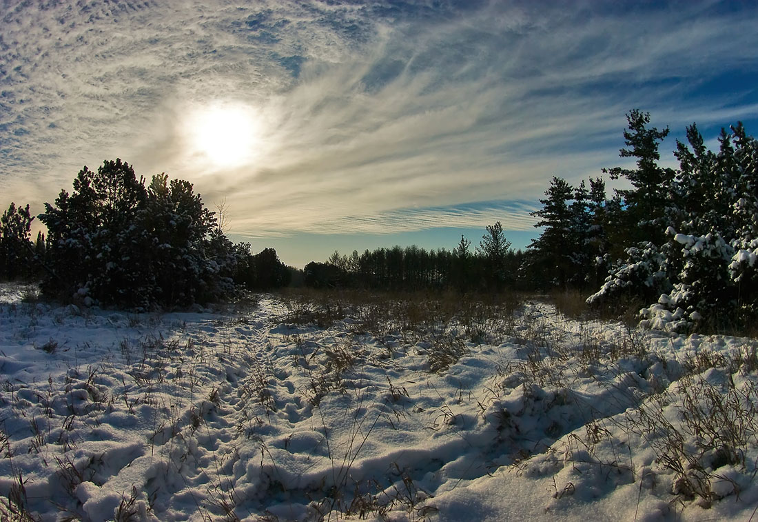 photo "***" tags: landscape, forest, winter