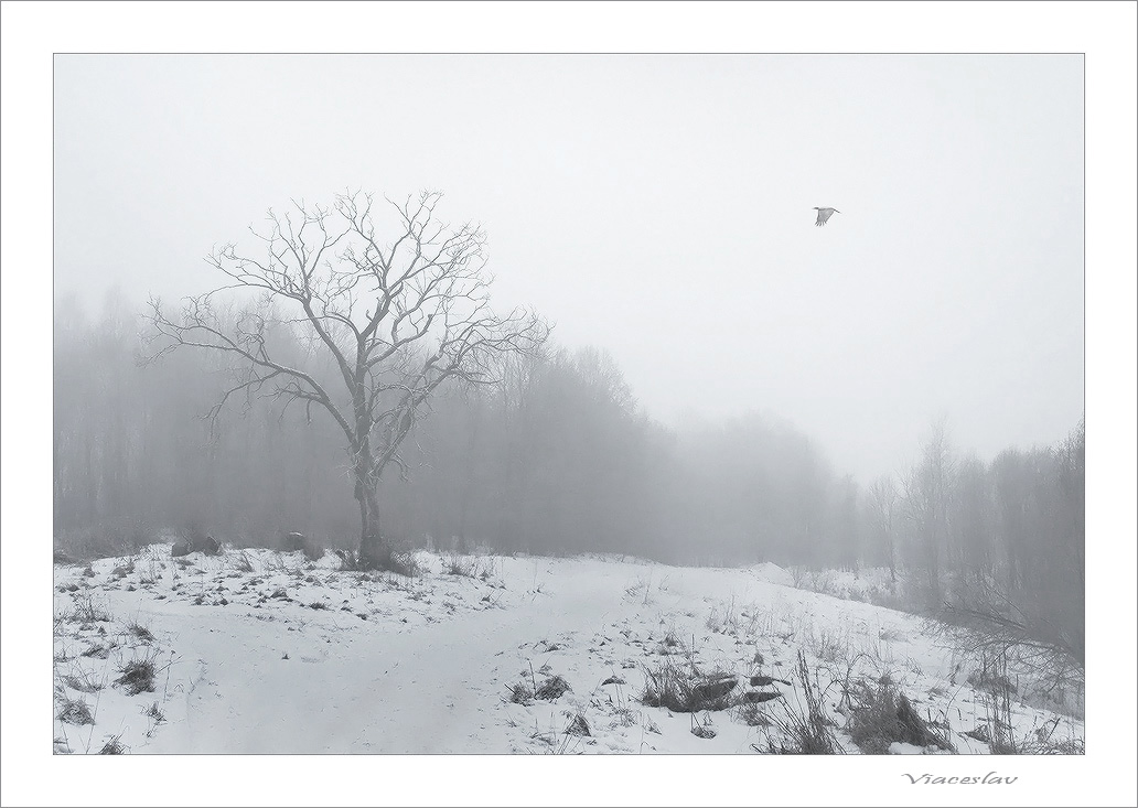 photo "The bewitched place." tags: genre, landscape, winter