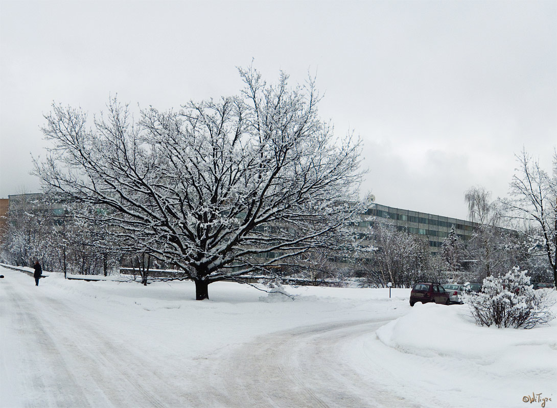 photo "***" tags: landscape, city, winter
