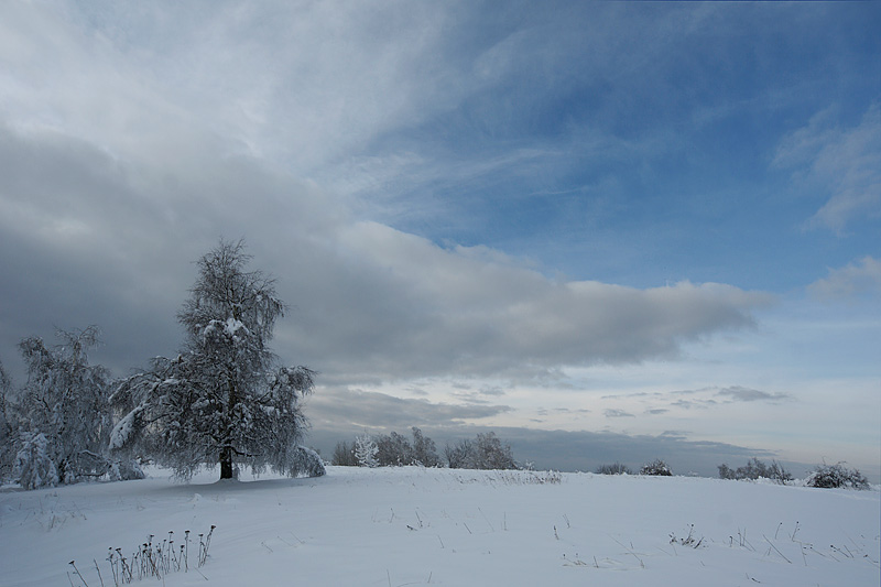 photo "White & Blue" tags: landscape, winter