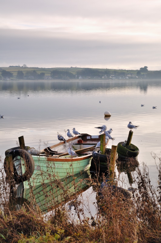 photo "Towards morning" tags: landscape, water