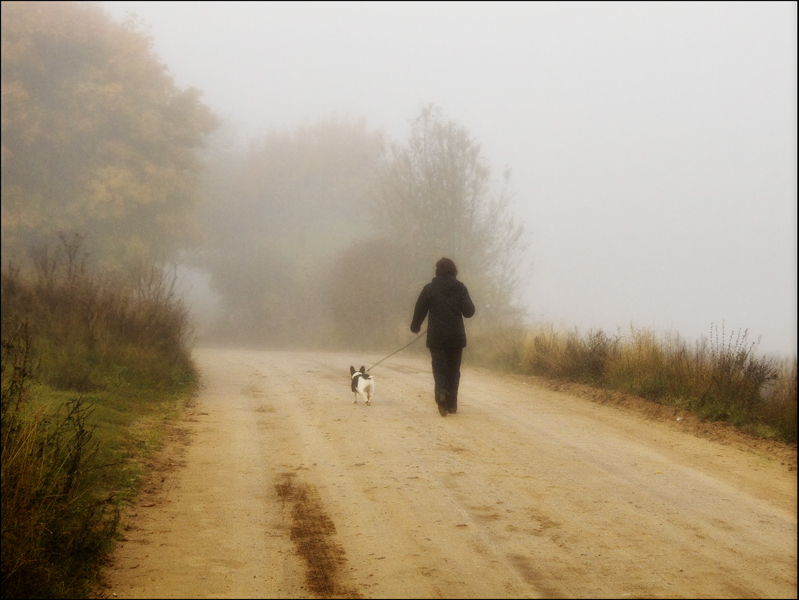 photo "***" tags: genre, 