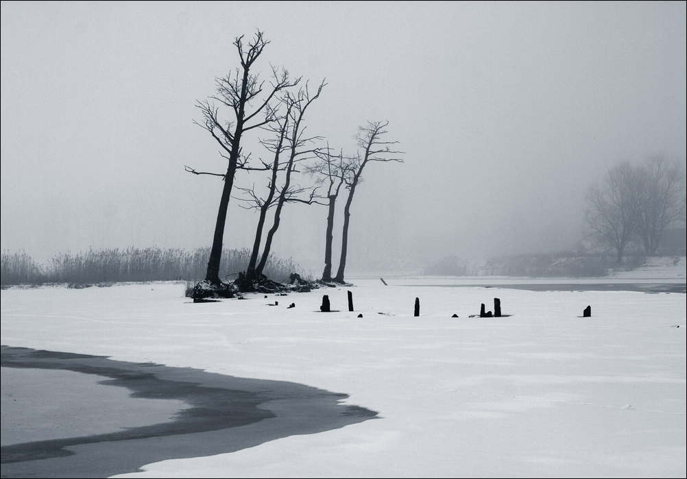 photo "***" tags: black&white, landscape, winter