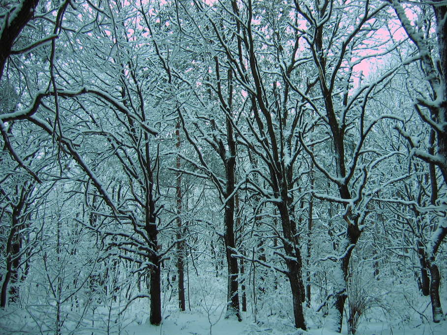 фото "Заснеженность" метки: пейзаж, зима