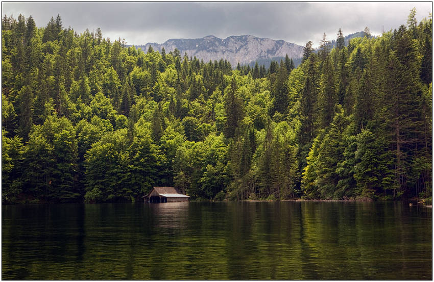 фото "Дремучие берега Топлиц-Зее" метки: пейзаж, вода, лес