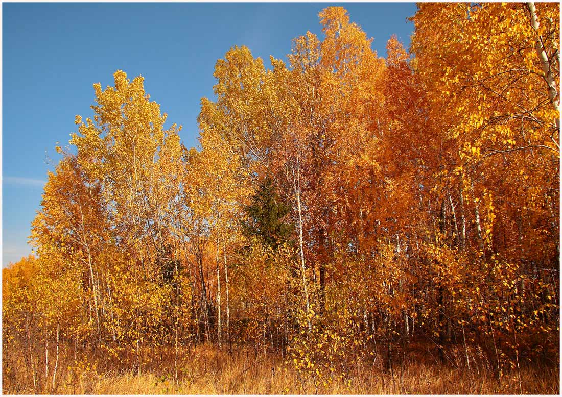 photo "***" tags: landscape, autumn
