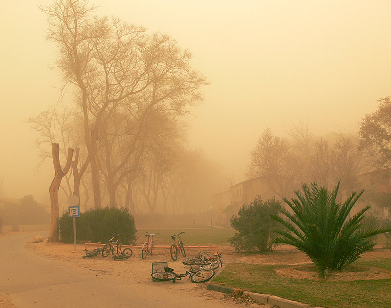 фото "Пыльная буря." метки: путешествия, Азия