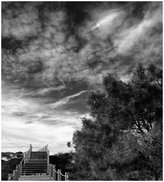 photo "***" tags: black&white, landscape, clouds