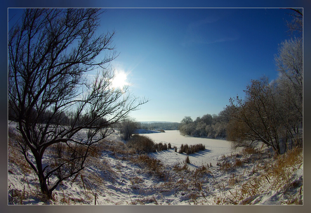 фото "Январский полдень" метки: пейзаж, зима