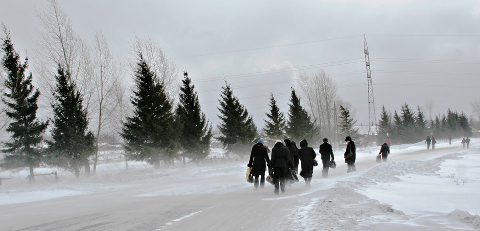 photo "Snowstorm" tags: landscape, winter